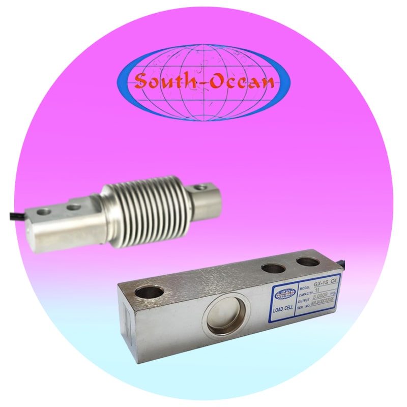 لودسل خمشی ساوت اوشن